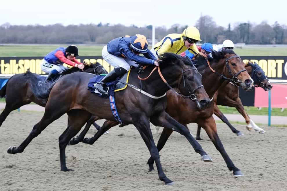 Iconic Moment emerged victorious at Lingfield (John Hoy)