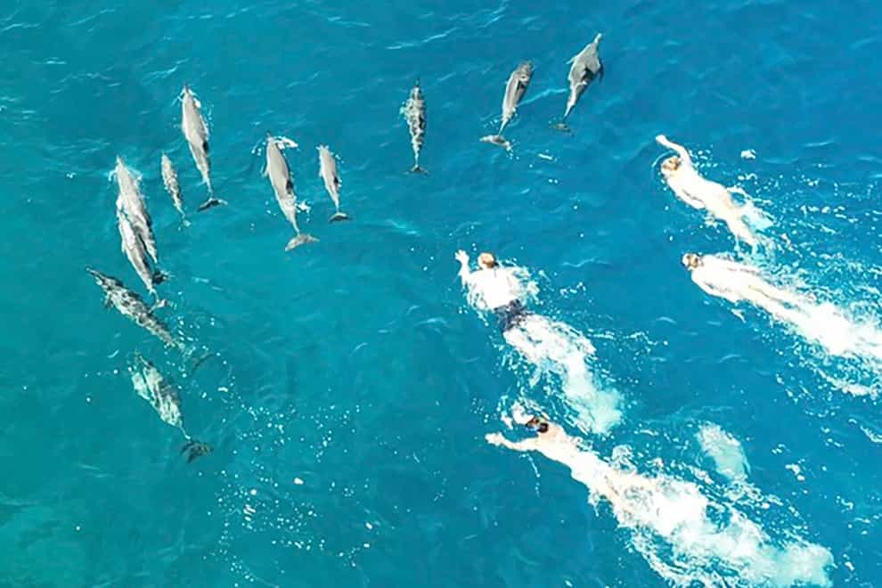 Enforcement officers came upon the swimmers in Honaunau Bay during a routine patrol (Hawaii Department of Land and Natural Resources via AP)