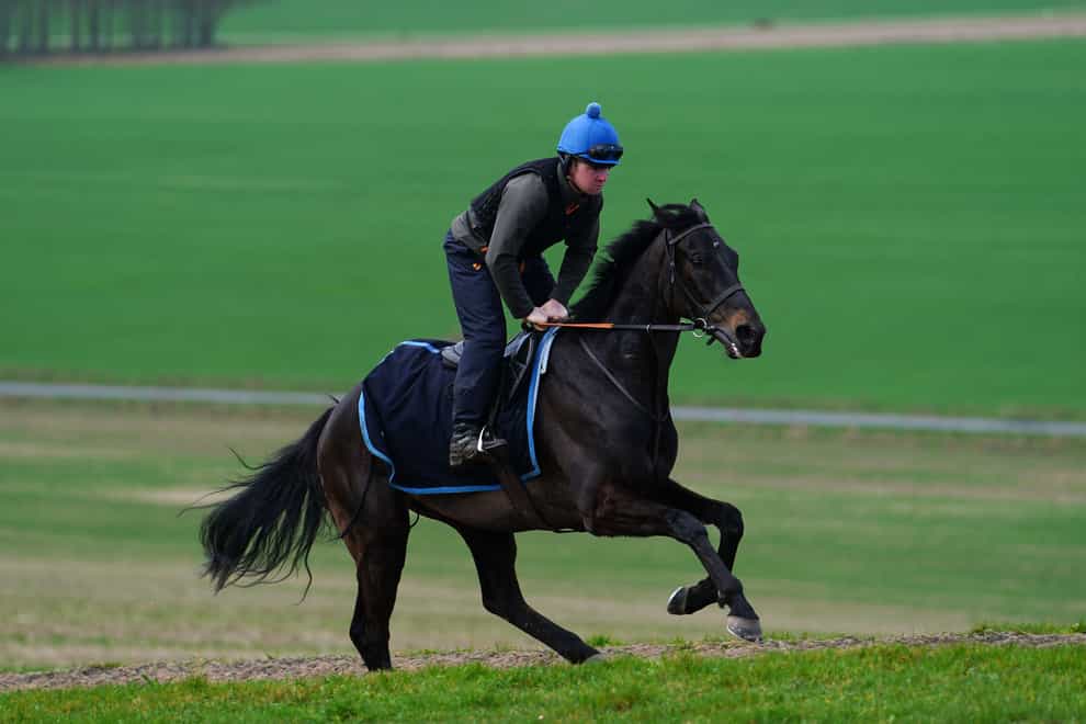 Mister Coffey on the gallops during a visit to Seven Barrows Stables, Lambourn (David Davies/PA)