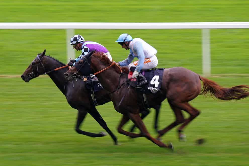 El Habeeb and Andrea Atzeni (left) coming home to win the Peroni Nastro Azzurro Noel Murless Stakes during day one of the Peroni Italia Autumn Racing Weekend at Ascot racecourse. Picture date: Friday September 30, 2022.