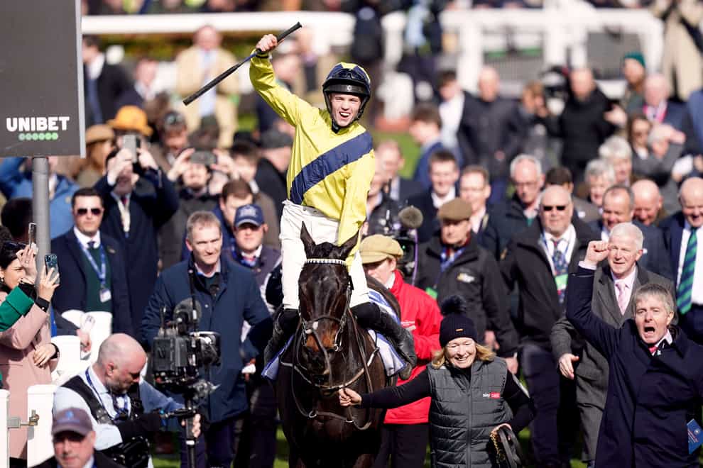 Supreme Novices’ Hurdle winner Marine Nationale is set to line up at the Punchestown Festival (Mike Egerton/PA)