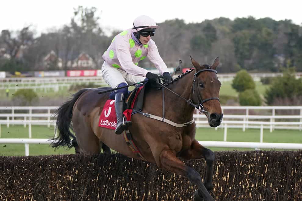 Chacun Pour Soi in action at Leopardstown (Niall Carson/PA)