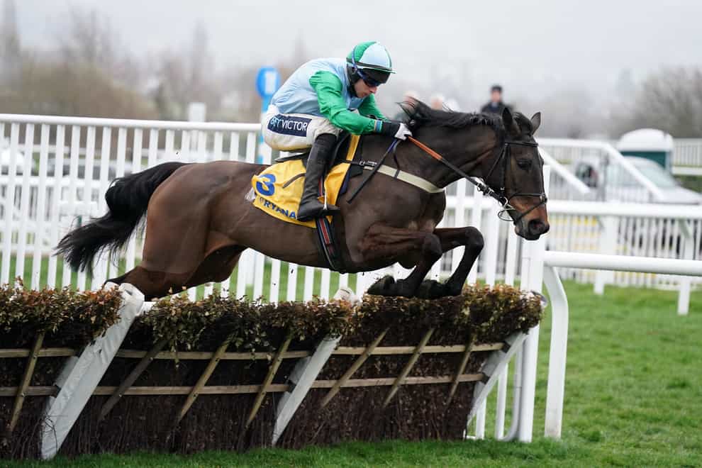 You Wear It Well ridden by Gavin Sheehan on their way to winning the Jack De Bromhead Mares’ Novices’ Hurdle on day three of the Cheltenham Festival at Cheltenham Racecourse (Mike Egerton/PA)