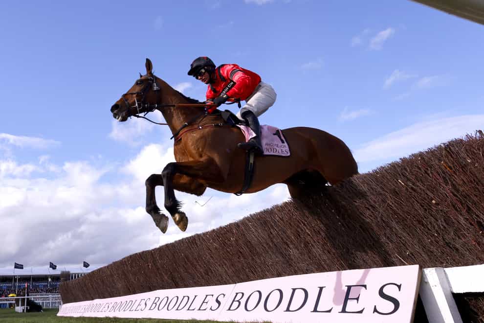 Ahoy Senor ridden by jockey Derek Fox in action as they compete in the Boodles Cheltenham Gold Cup Chase on day four of the Cheltenham Festival at Cheltenham Racecourse (Steven Paston/PA)