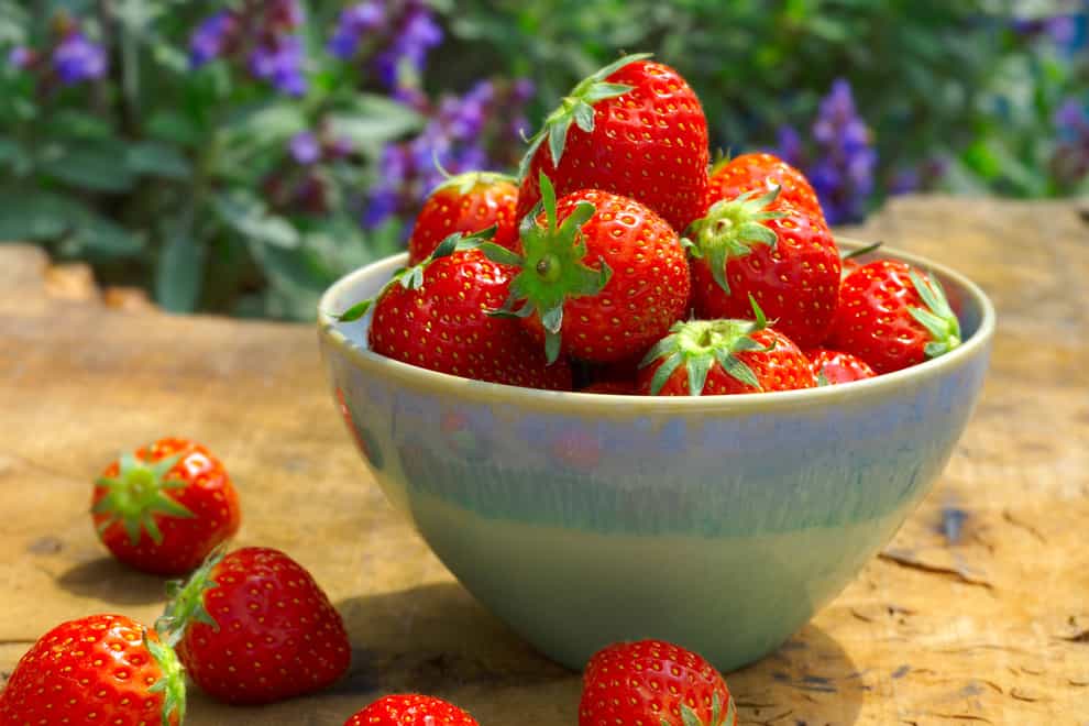 Strawberries are starting to come in season (Alamy/PA)