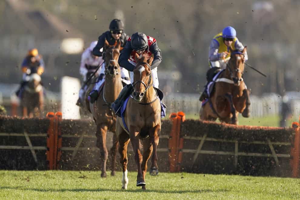 Cape Gentleman, here at Kempton, suffered a career-ending injury in the Grand National (Alan Crowhurst/PA)