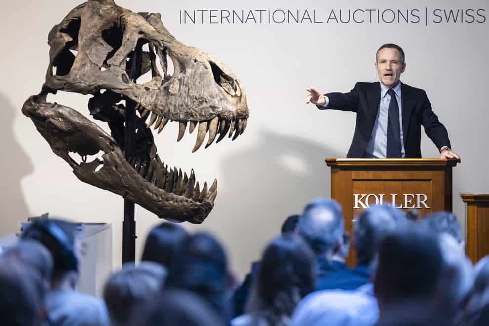 Cyril Koller, chief executive of auction house Koller, stands next to the head of the skeleton of a Tyrannosaurus rex named Trinity, during an auction in Zurich, Switzerland (Michael Buholzer/Keystone via AP/PA)