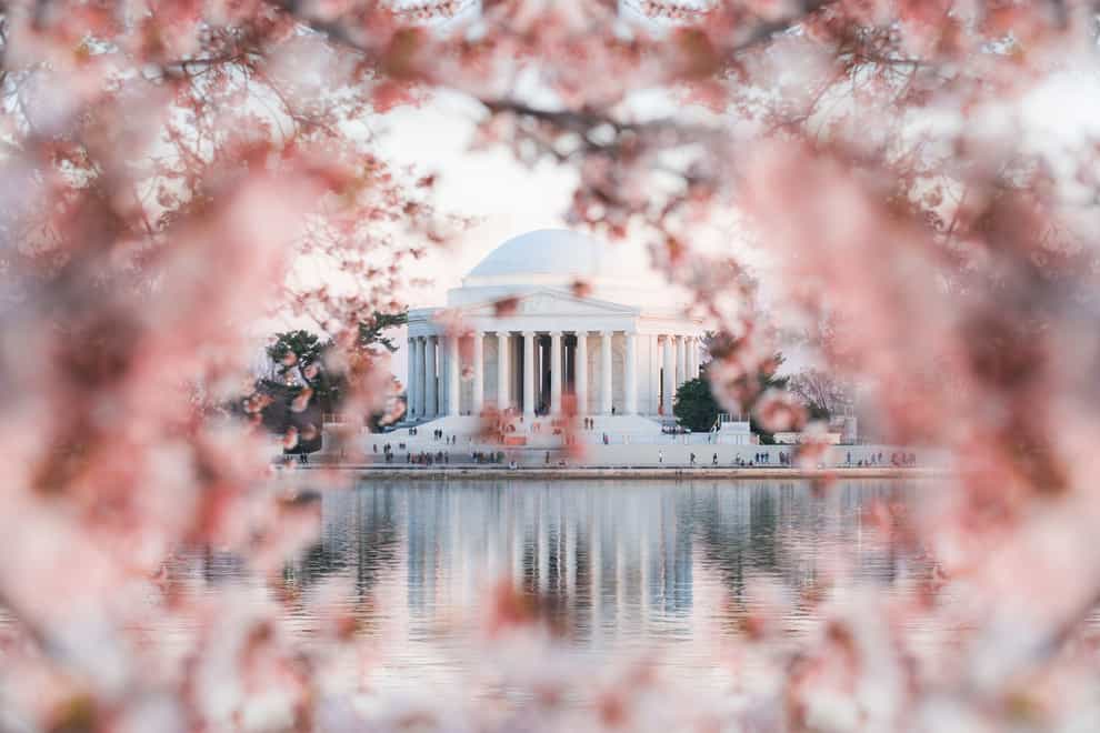 Cherry Blossom in Washington (Destination DC/PA)