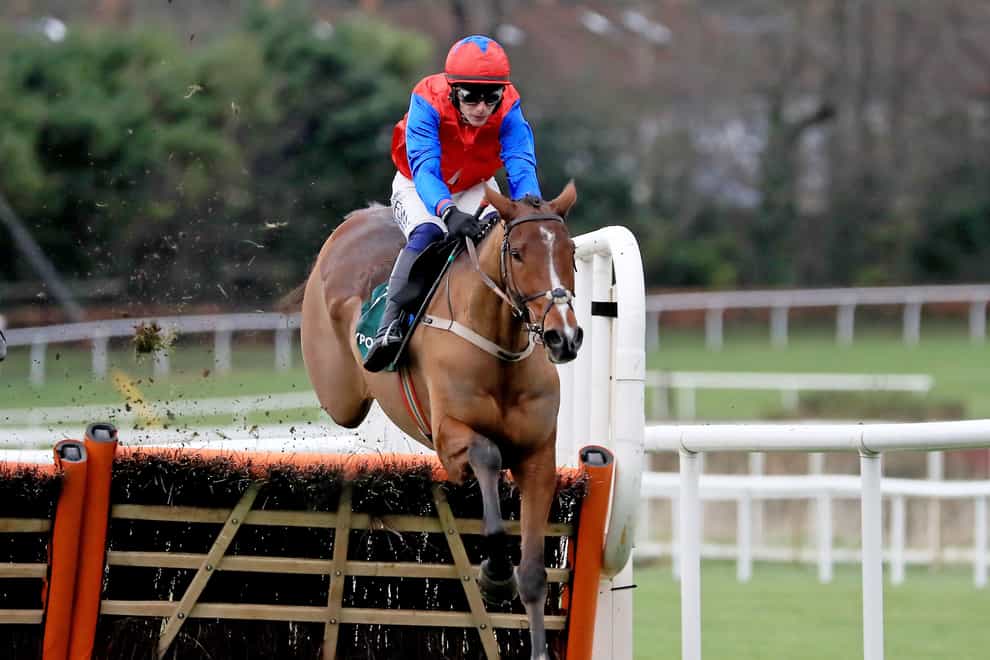 Facile Vega in action at Leopardstown (Donall Farmer/PA)