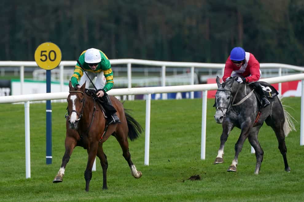 A Dream To Share pulls clear of Tullyhill (Brian Lawless/PA)