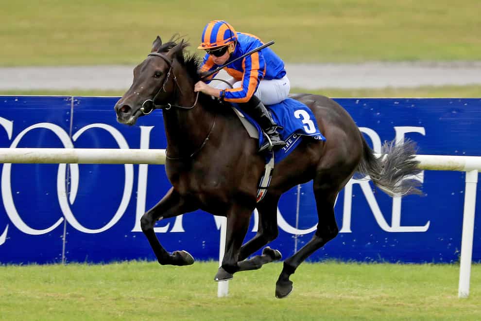 Meditate ridden by Ryan Moore leads the field home to win the fifth race, The Alpha Centauri Debutant Stakes of �120,000 at Curragh Racecourse (Donall Farmer/PA)