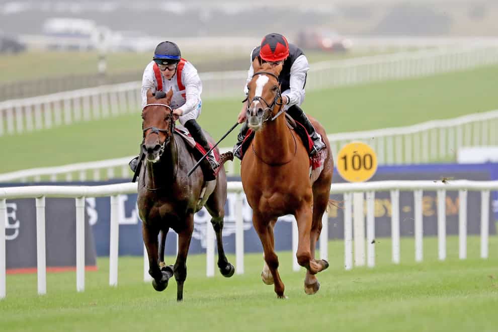 Hamish (left), here going close to downing Kyprios, defends his Ormonde Stakes crown at Chester (Donall Farmer/PA)