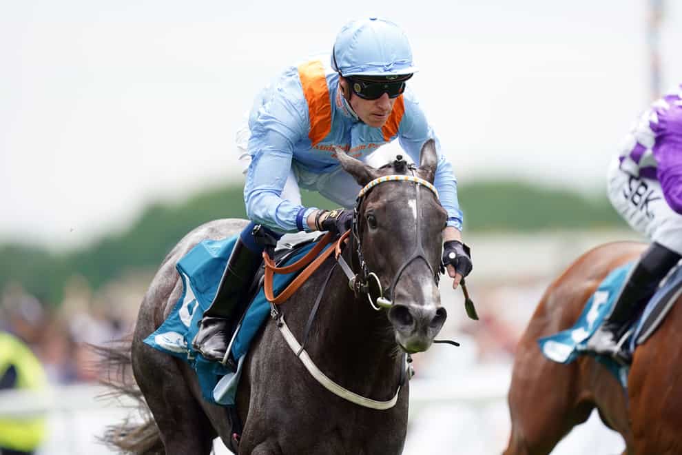 Got To Love A Grey winning the Marygate Stakes at York (Mike Egerton/PA)