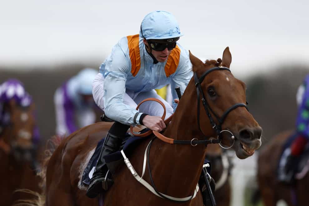 Dear My Friend is set to take his chance at Epsom (Richard Sellers/PA)