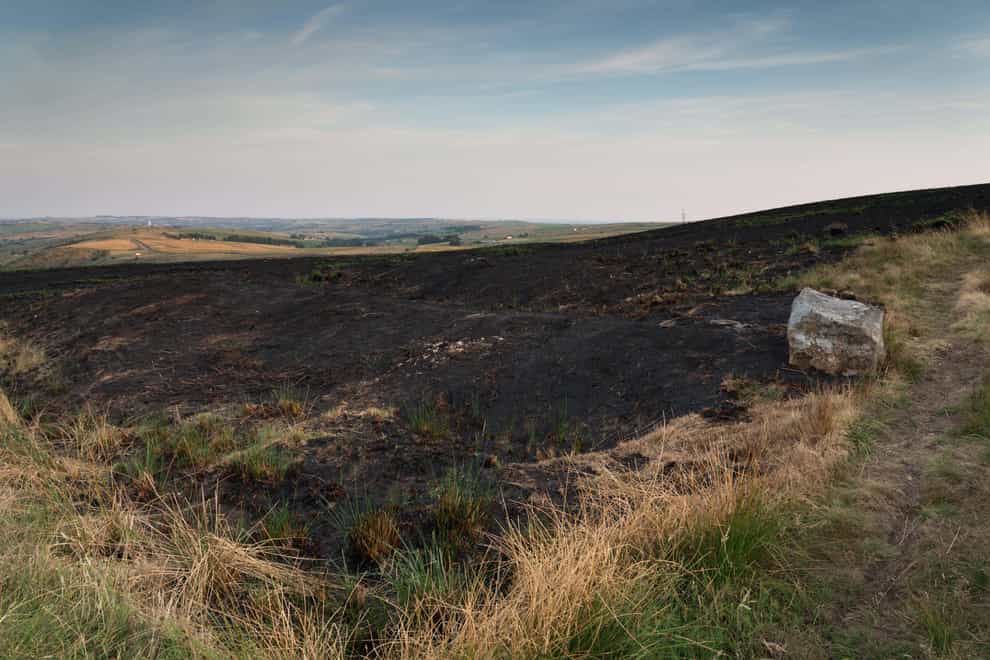 It comes after the UK saw wildfires and significant infrastructure disruption as temperatures soared to record highs last year (Alamy/PA)