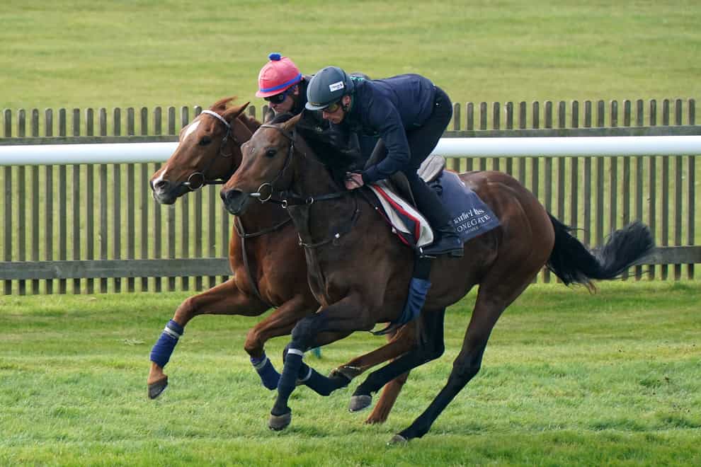 Cicero’s Gift (right) gallops on the Rowley Mile on day two of the bet365 Craven Meeting at Newmarket Racecourse. Picture date: Wednesday April 19, 2023. (Tim Goode/PA)