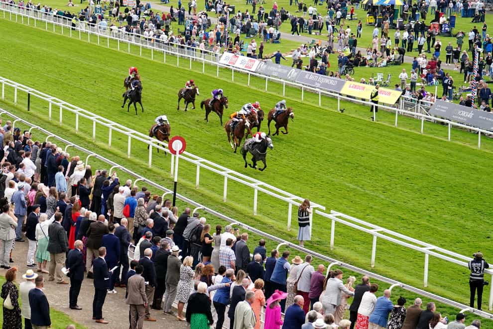 Great State scorched the turf at York (Mike Egerton/PA)