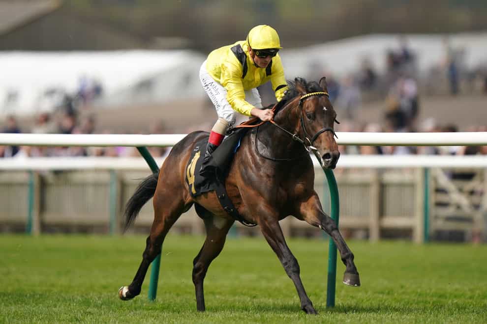 Roger Varian’s Tajalla, who can take another step up the ladder with Listed success in the Molson Coors Scurry Stakes at Sandown (Tim Goode/PA)