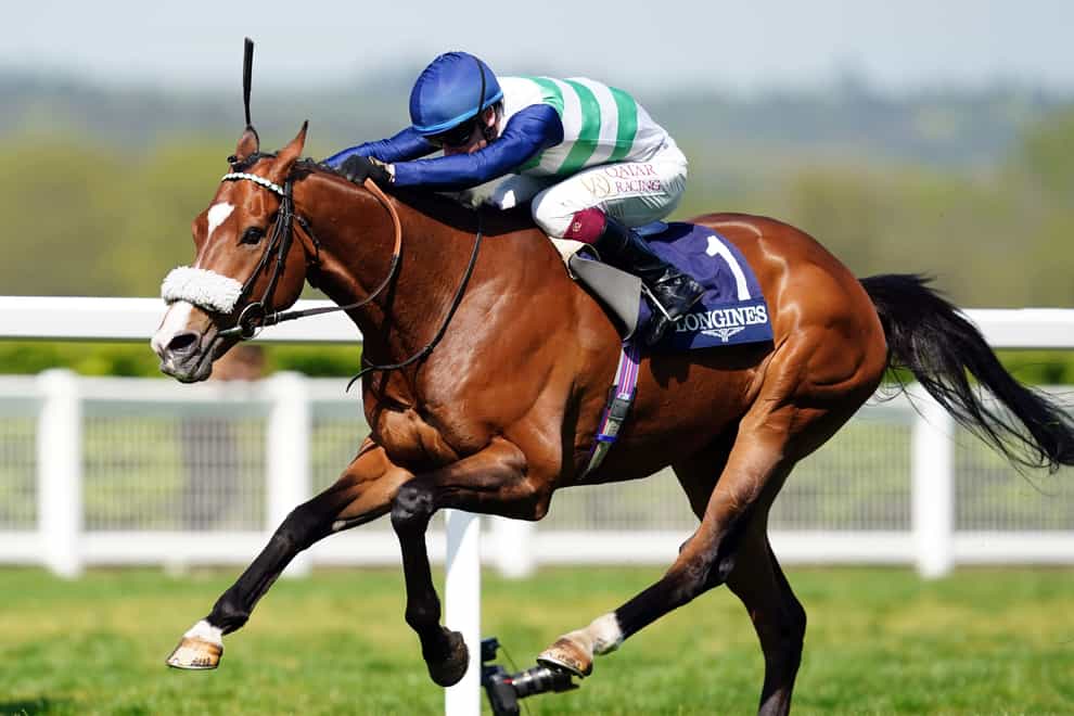 Coltrane is the favourite for the Gold Cup at Royal Ascot (David Davies/PA)