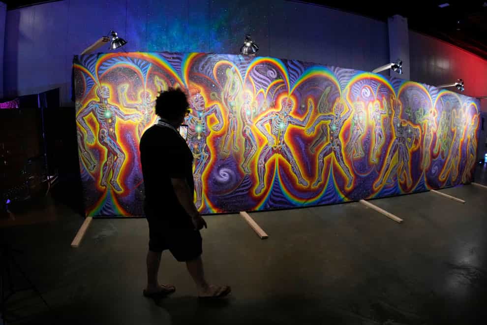 Artwork on display at the Psychedelic Science conference in the Colorado Convention Centre (AP)