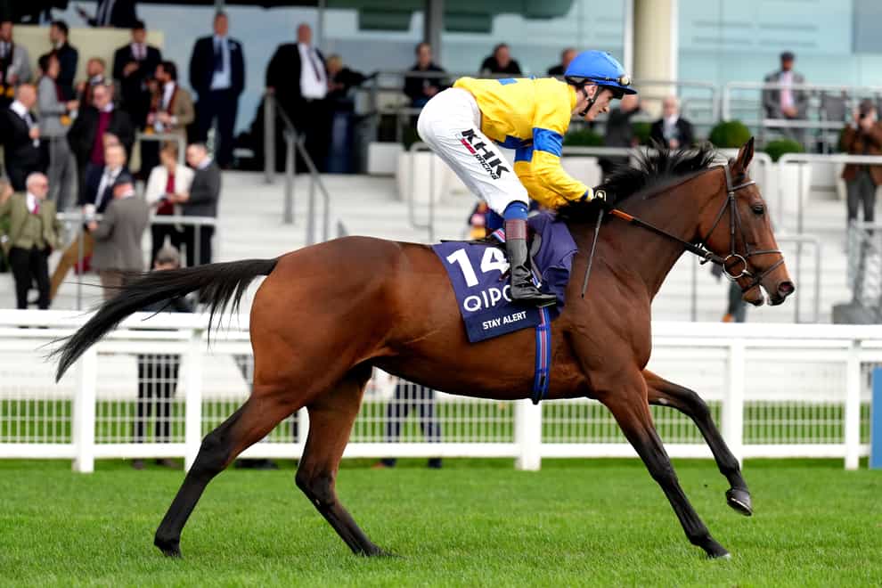 Stay Alert was an unlucky runner-up in the Pretty Polly Stakes at the Curragh (John Walton)