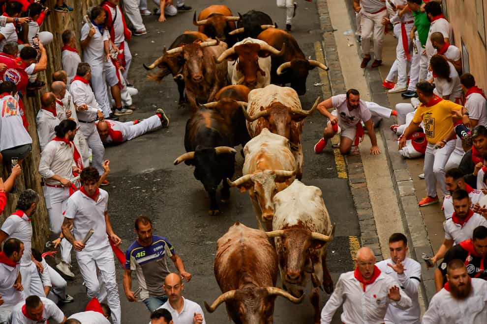 The festival takes place in the northern Spanish city of Pamplona (Alvaro Barrientos/AP)
