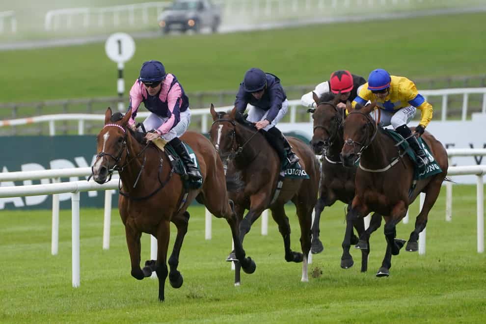 Connections of Stay Alert (right) failed in their IHRB appeal on Tuesday (Brian Lawless/PA)