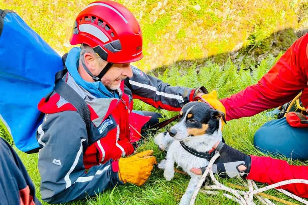 Louis the Jack Russell after his ordeal (Moffat Mountain Rescue Team/PA)