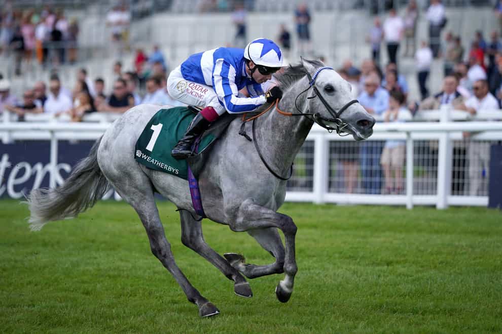 Art Power winning the Greenlands Stakes at the Curragh (Niall Carson/PA)