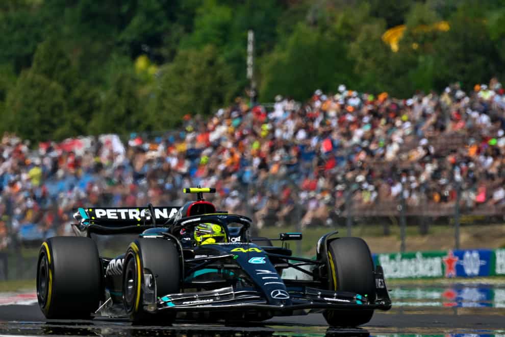 Lewis Hamilton claimed pole for the Hungarian Grand Prix (Denes Erdos/AP)