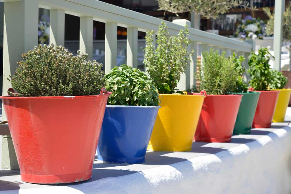 Make the most of your balcony garden (Alamy/PA)