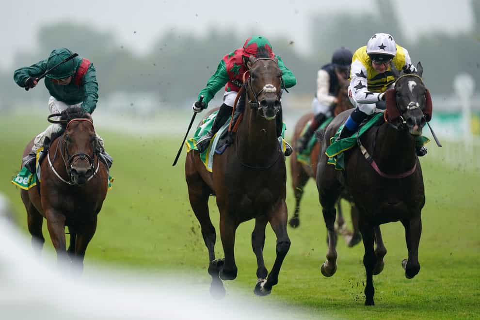 Diligent Harry (centre) was touched off by Commanche Falls (right) at Newbury on Saturday (Adam Davy/PA)
