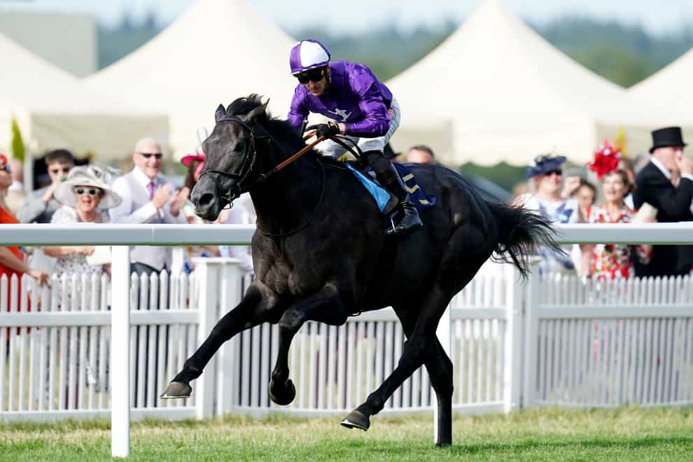 King Of Steel will be bidding for King George glory at Ascot on Saturday (David Davies/PA)
