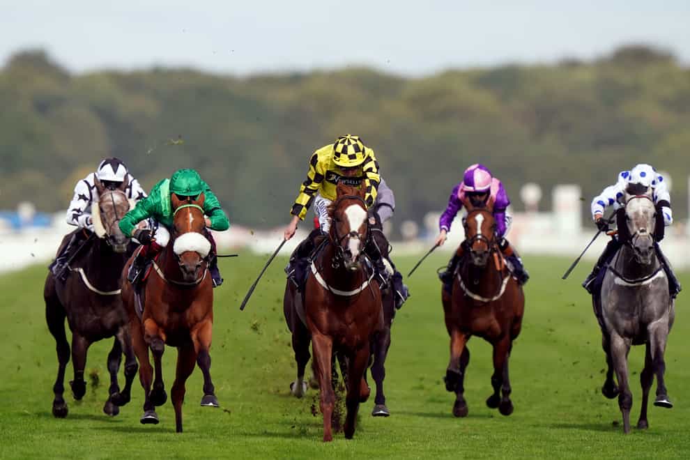 Manaccan (yellow silks) will miss the Nunthorpe after a training setback (Tim Goode/PA)