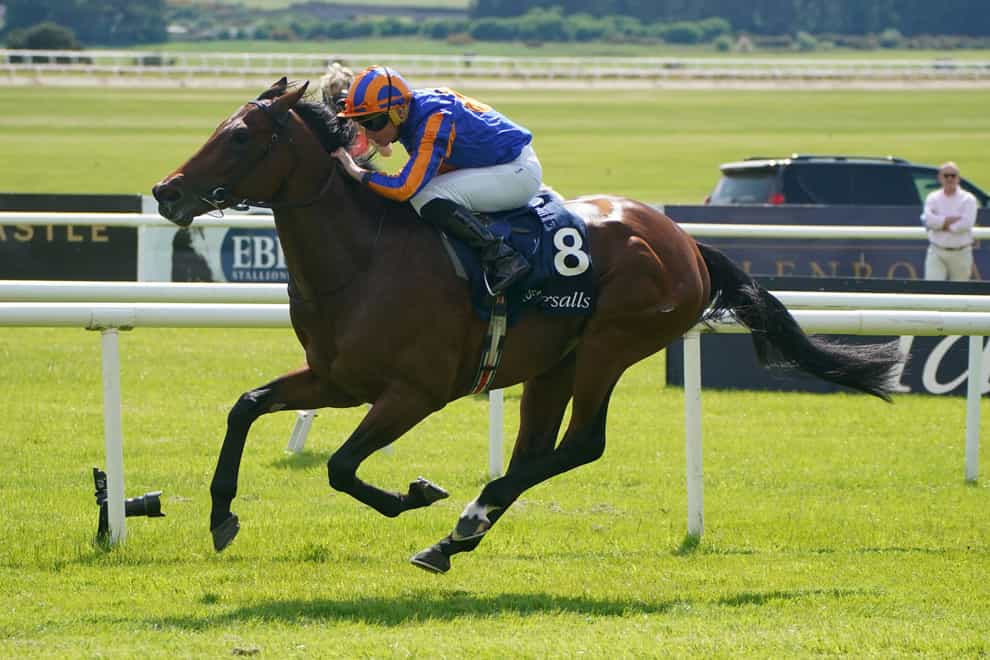 Paddington is a hot favourite for the Sussex Stakes (Niall Carson/PA)