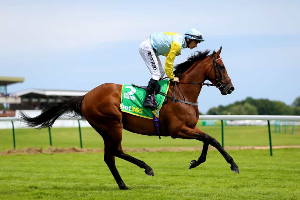 Luisa Casati ridden by jockey Richard Kingscote goes to post ahead of the bet365 Lancashire Oaks during bet365 Old Newton Cup Day of the Old Newton Cup Festival 2023 at Haydock Park Racecourse, Merseyside (Nigel French/PA)