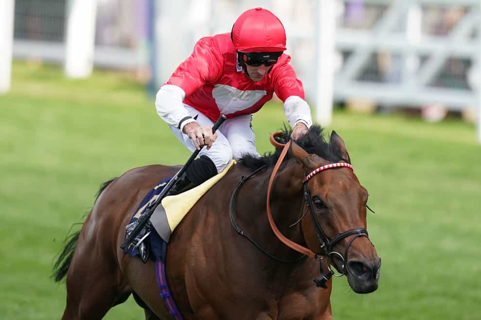 Rogue Millennium will look to add to her Royal Ascot win at Deauville (John Walton/PA)