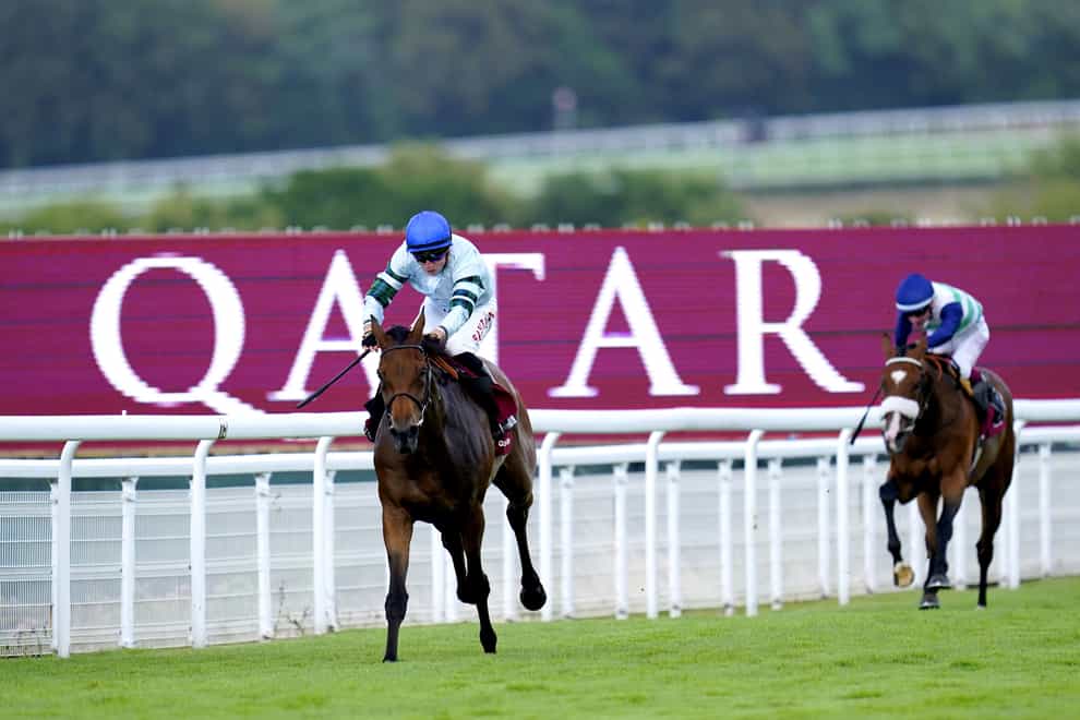 Quickthorn won the Goodwood Cup (PA)