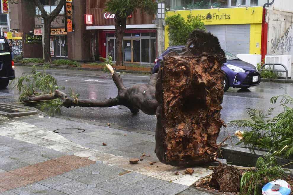 The powerful typhoon uprooted trees and damaged vehicles in Okinawa (Kyodo News/AP)