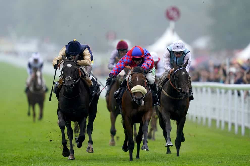 Big Evs (centre) clings on to win the Molecomb Stakes at Goodwood (Andrew Matthews/PA)