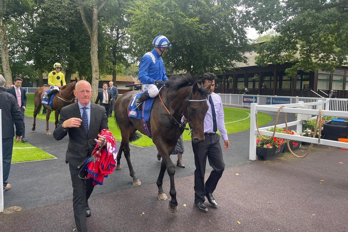 Al Aasy produced to perfection for Rose of Lancaster honours