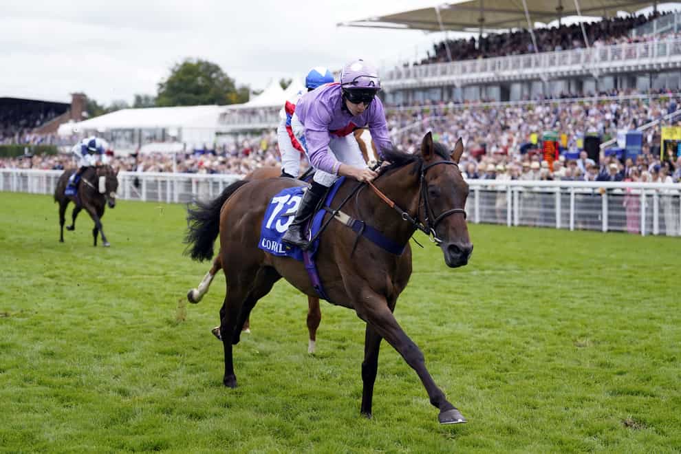 Temporize could be aimed at the Cesarewitch following his Goodwood win (Andrew Matthews/PA)