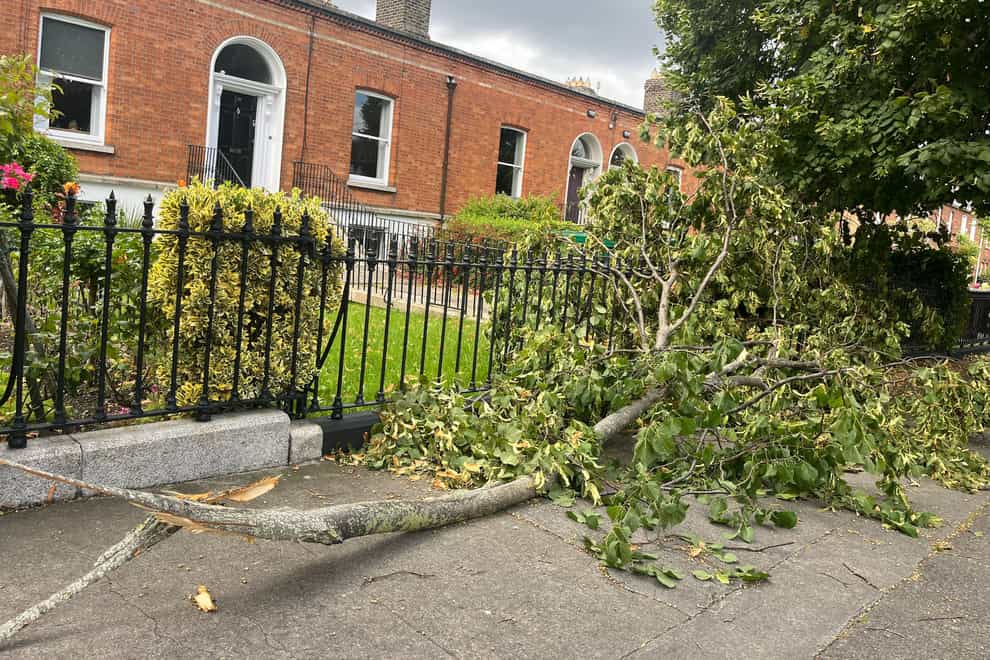 Felled branches in Dublin City centre (PA)