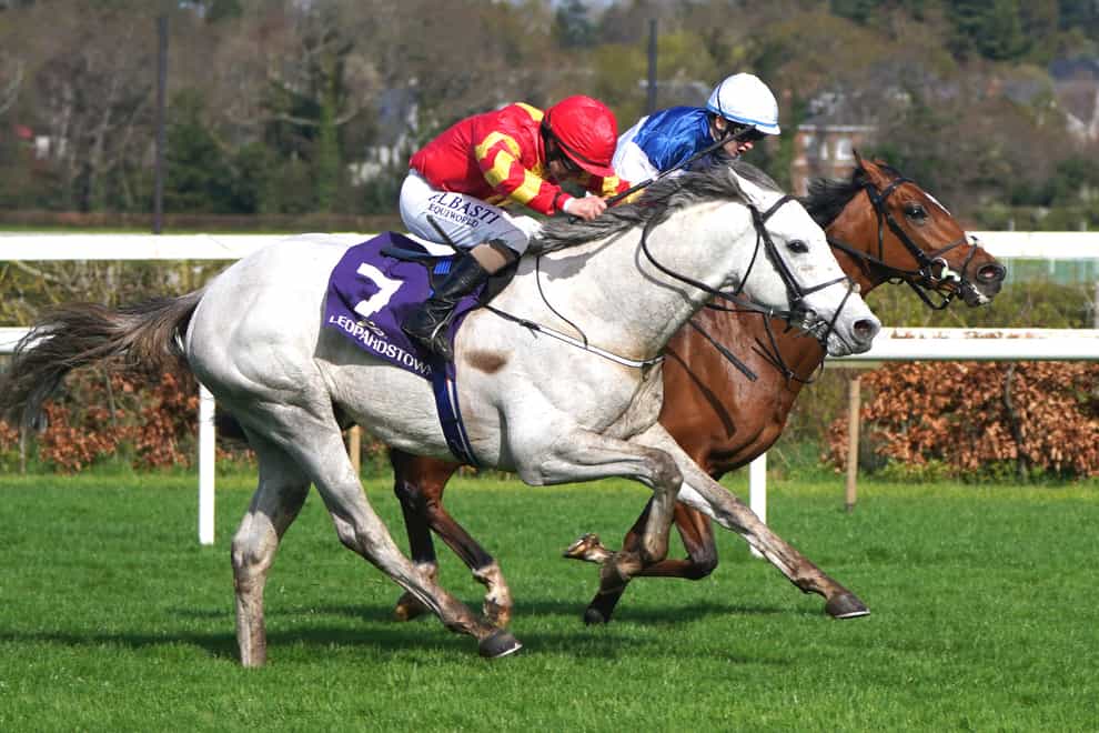 White Birch is likely to return at Leopardstown during the Irish Champions Festival (Niall Carson/PA)