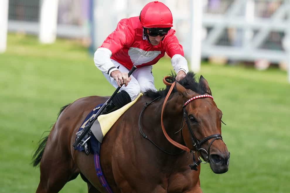 Rogue Millennium will seek a first Group One victory when she heads to Ireland (John Walton/PA)