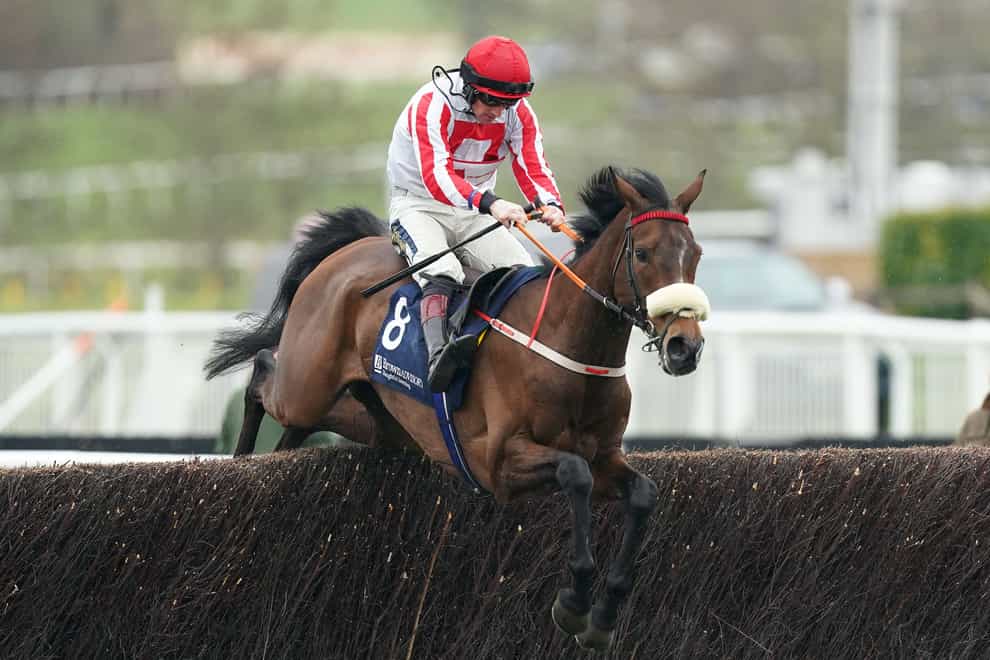 The Real Whacker on his way to winning at the Cheltenham Festival (Mike Egerton/PA)
