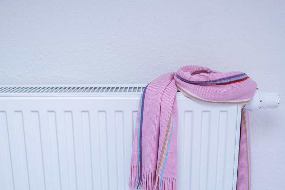 Keeping radiators working in prime condition will boost their efficiency and lower bills (Alamy/PA)