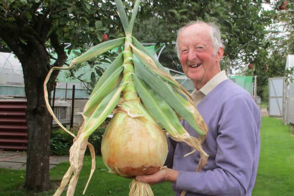 Giant vegetable grower Peter Glazebrook with an onion (Peter Glazebrook/PA)
