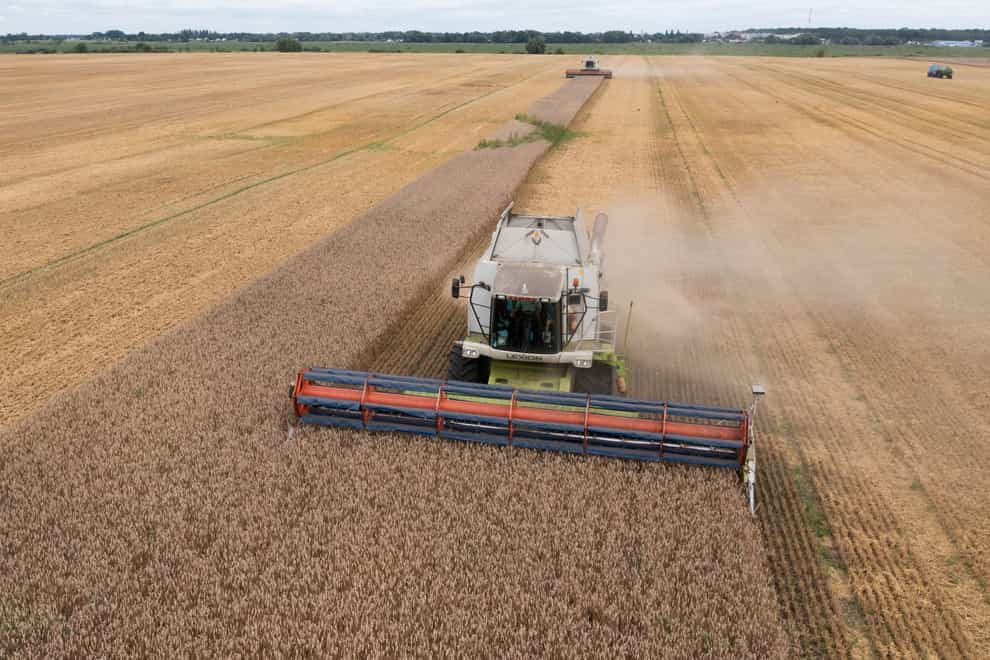 Poland is to maintain its ban on Ukrainian grain imports (Efrem Lukatsky/AP)