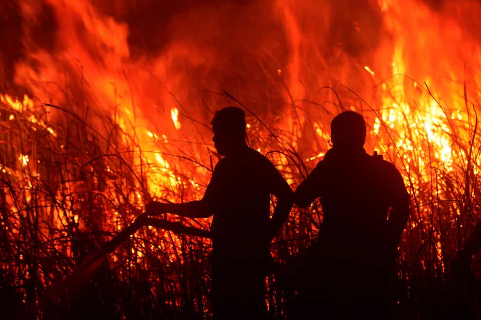 Forest and peat fires are an annual problem in Indonesia (Muhammad Hatta/AP)